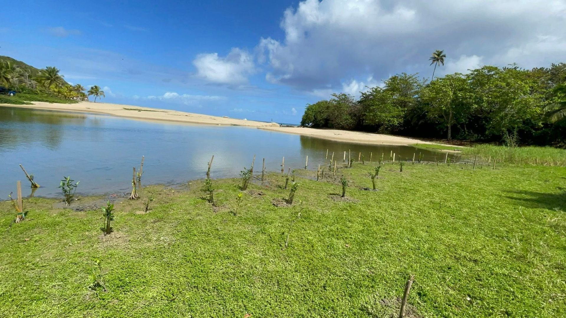 Encuentro comunitario